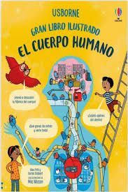 EL CUERPO HUMANO